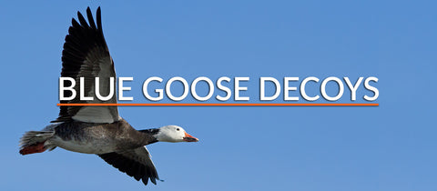 Blue Goose Decoys