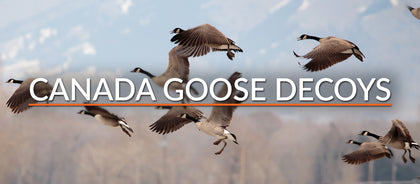 Canada Goose Decoys