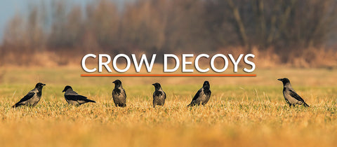 Crow Decoys