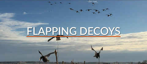 Flapping Decoys