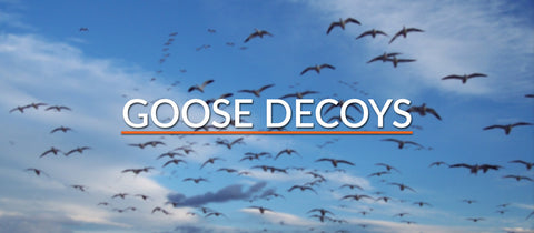 Goose Decoys