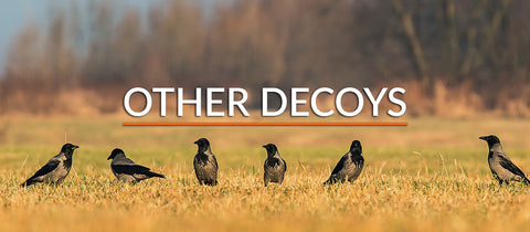 All Other Decoys