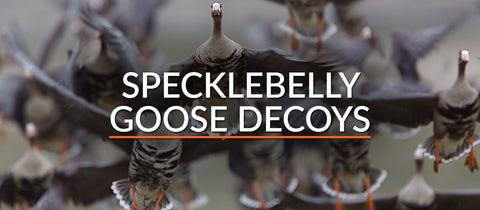 Specklebelly Goose Decoys