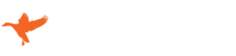 SilloSocks