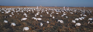 windsock decoys