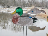 Fully Flocked Mallard Silhouettes - Dozen