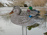 Fully Flocked Mallard Silhouettes - Dozen