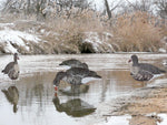 Fully Flocked Specklebelly Goose Silhouettes - Dozen