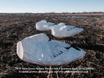 Sleeper Snow Goose Windsocks - Dozen