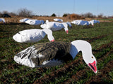 Feeder Blue Goose Windsocks - Dozen