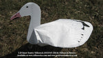 Sentry Snow Goose Windsocks 2D- Dozen