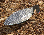 Feeder Specklebelly Goose Windsocks - Dozen