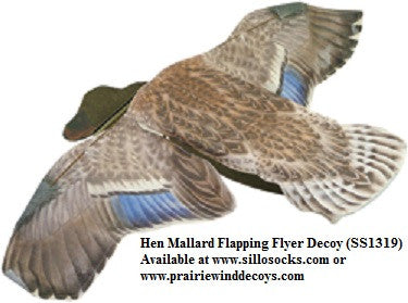 Hen Mallard Duck Flapping Flyer