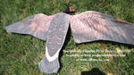 Specklebelly Goose Flapping Flyer