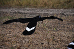 Canada Goose Flapping Flyer - Black and White Fully Flocked