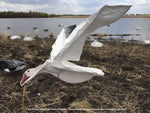 Wingbeat Snow Goose Power Flapper