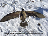 Wingbeat Canada Goose Power Flapper