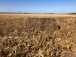 BlindFold - Waterfowl hunting blind system