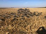 BlindFold - Waterfowl hunting blind system