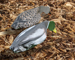 Feeder Mallard Duck Windsocks - Dozen